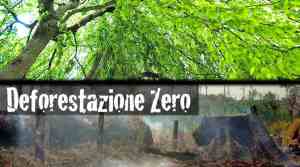 Deforestazione-Zero