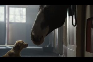 Puppy Love, l’amore tra un cane e un cavallo al Super&nbsp;Bowl