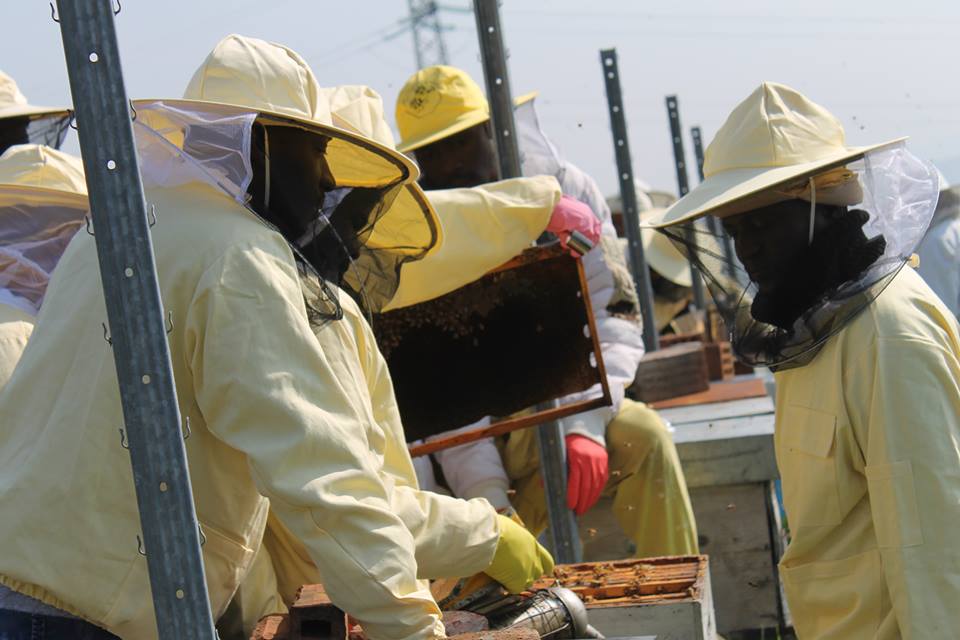 Tutto quello che non vi raccontano sull’immigrazione e dovete&nbsp;sapere