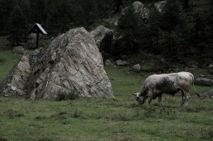 08202015RifugioBarbaraBestia
