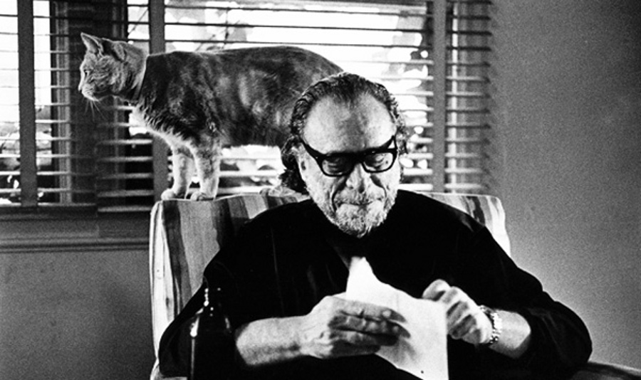 Bukowski: donne, birra, letteratura e gattini!