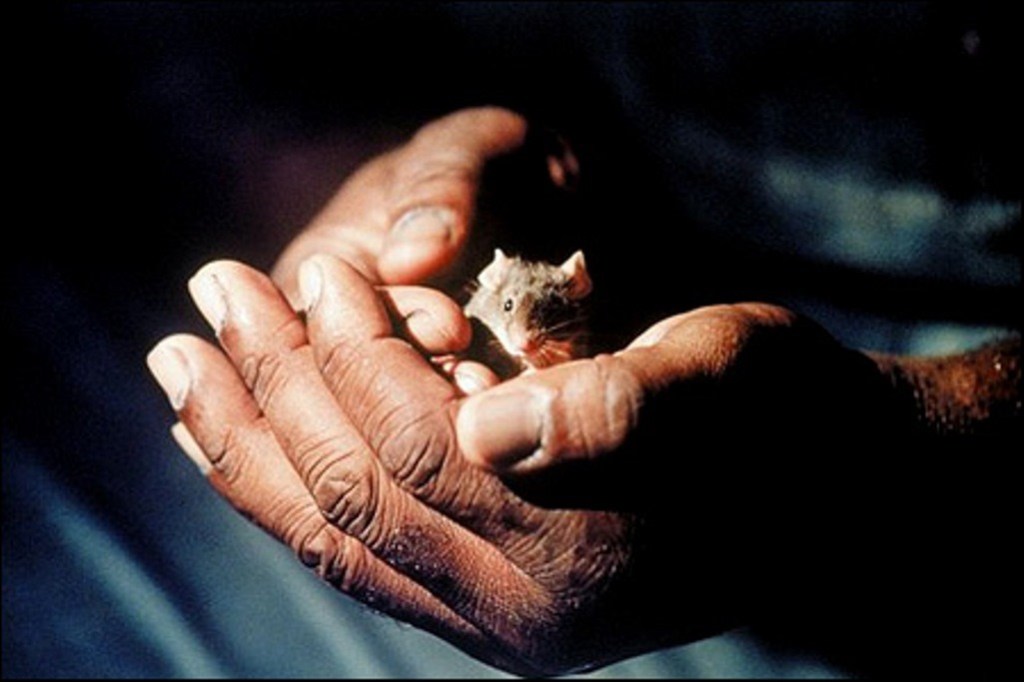 Ricordi qual è stato il primo libro che hai&nbsp;letto?