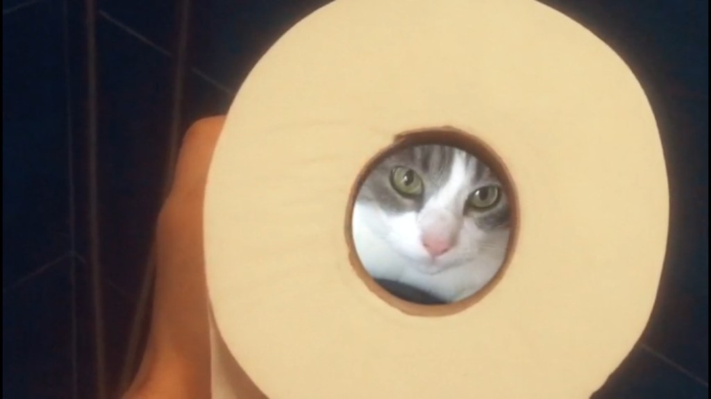 Video vero o video falso? A voi il&nbsp;giudizio