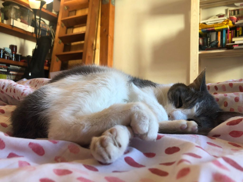 QuarantenaBlog, Giorno 4 – Le cose che mi sono perso