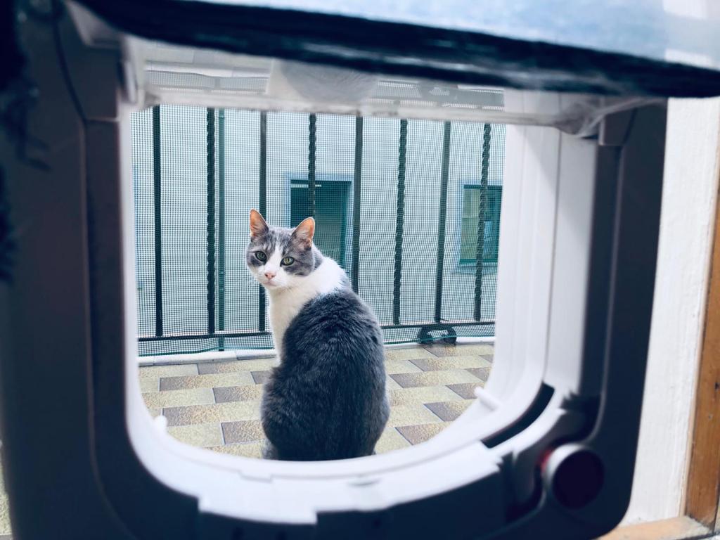 Sai cosa mi manca della fase uno?