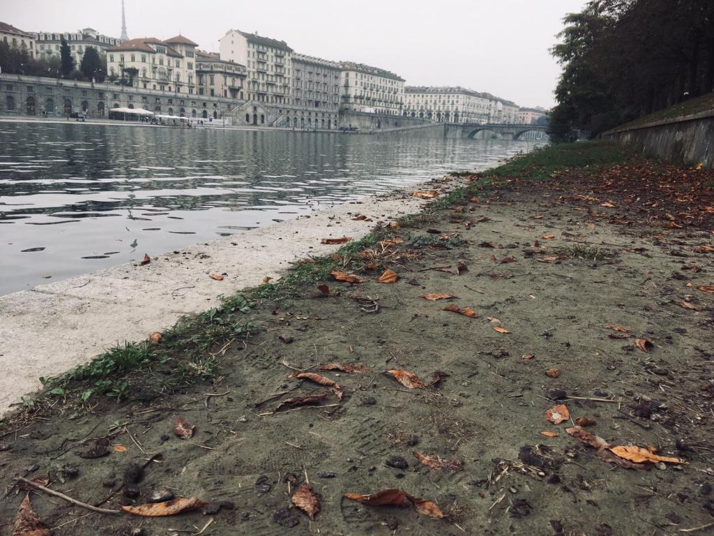 Ecco il luogo dove è stato trovato il cadavere&nbsp;martoriato